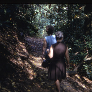 People walking on wooded trail, circa October 1971