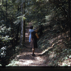 People walking on wooded trail, circa October 1971