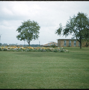 Flowers in yard of women's prison, circa October 1960