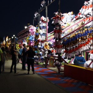 North Carolina State Fair 2012
