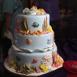 Cake at 2017 State Fair of North Carolina