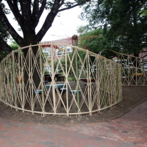 Bamboo at Kilgore Hall