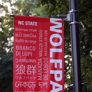 Multi-Language Banner