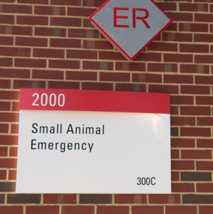 Small Animal Emergency Building Sign May 2017
