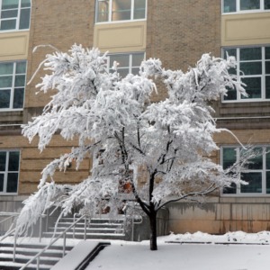 Campus Snow January 2018