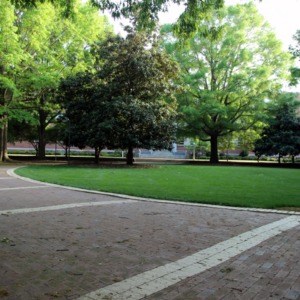 In Front of Williams Hall