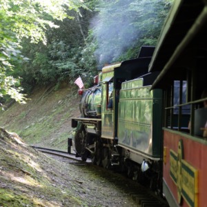 Tweetsie Railroad, June 2015