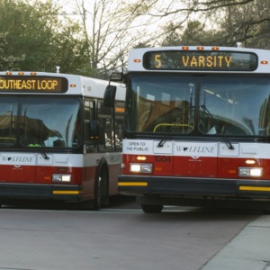 Wolfline Busses