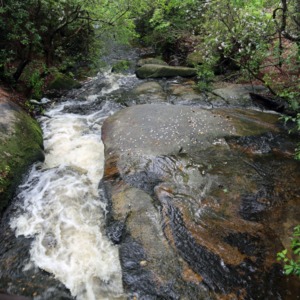 Camp Milstone, Waterfall