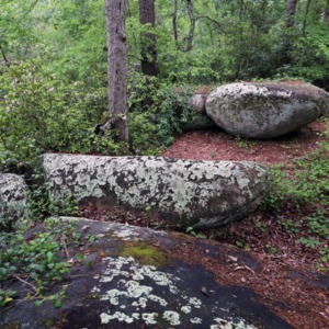 Camp Milstone, Stones