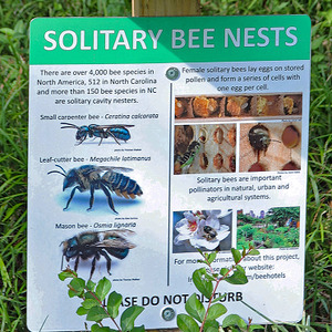 Solitary bees nest sign, 2019