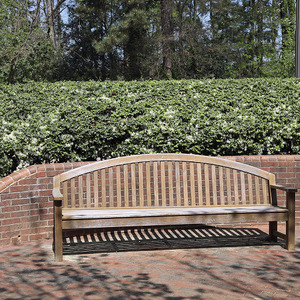Bench at Wood Residence Hall, March 2020