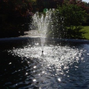 Fountain at Talley Close