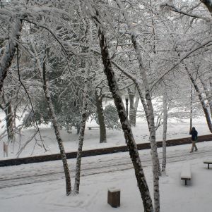 Snow behind Winston Hall
