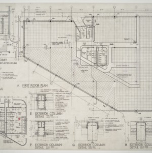 Blue Ridge Road Group -- First floor plan, Columns, Lobby, Roof drail, Toilet plan