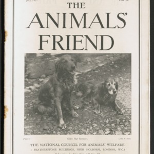 The animals' friend, vol. 43 no. 7