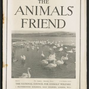 The animals' friend, vol. 45 no. 4