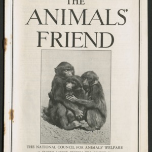 The animals' friend, vol. 48, no. 8