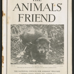 The animals' friend, vol. 48 no. 10