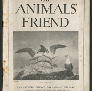 The animals' friend, vol. 49 no. 3