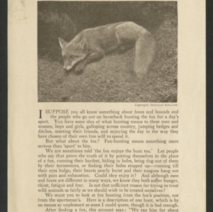 Junior series, no. 2: Hunting the fox to death
