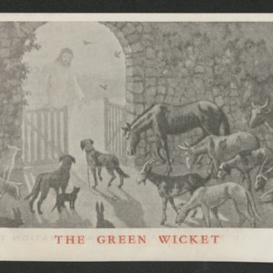 The green wicket