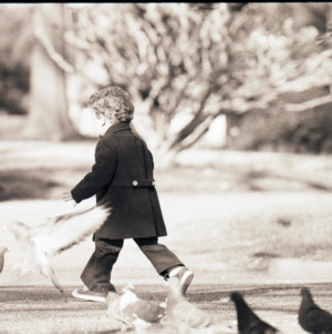 Child with pigeons, circa 1969-1975