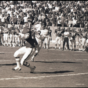 Football players and spectators at NC State versus East Carolina game, circa 1969-1975