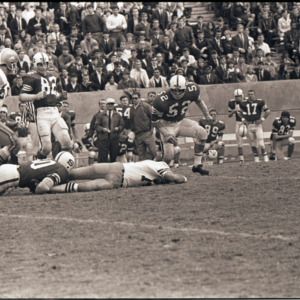 Football players, referee, and spectators at NC State versus Florida State game, circa 1969-1975
