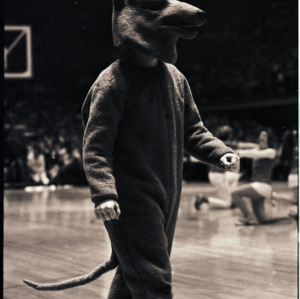 Mascot at NC State versus Duke basketball game, circa 1972-1975