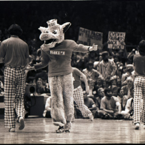 Mascot and cheerleaders at NC State versus Marquette basketball game, March 25, 1974