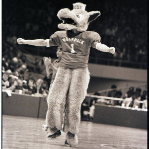 Mascot at NC State versus Oregon State basketball game, 1974