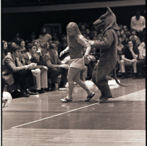 Mascot and cheerleader at NC State versus Pittsburgh basketball game, January 22, 1972