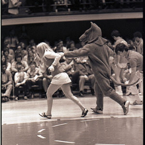 Mascot and cheerleaders at NC State versus Pittsburgh basketball game, January 22, 1972