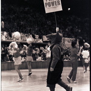Mascot and cheerleaders at NC State versus UNC-Chapel Hill basketball game, circa 1972-1975
