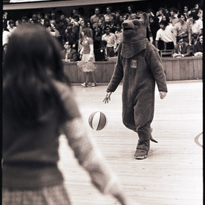 Cheerleader and mascot at NC State versus Virginia basketball game, circa 1972-1975