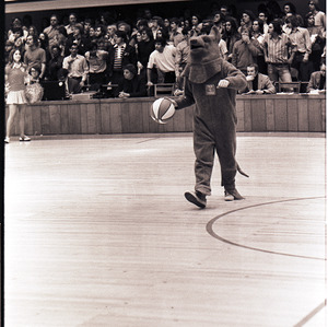 Mascot at NC State versus Virginia basketball game, circa 1972-1975