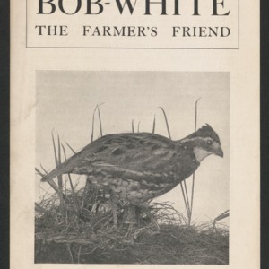 Bob-white - the farmer's friend
