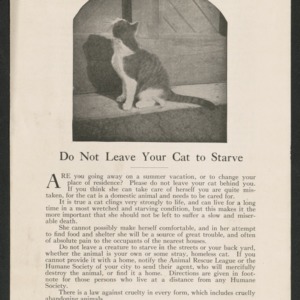 Do not leave your cat to starve