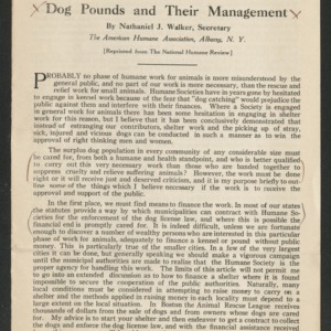 Dog pounds and their management