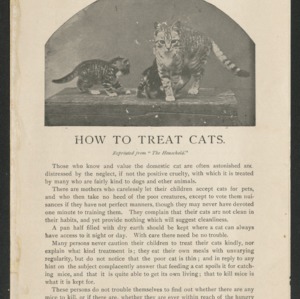 How to treat cats