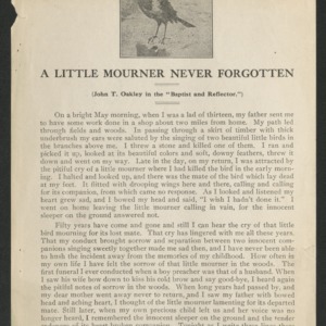 A little mourner never forgotten