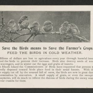 To save the birds means to save the farmer's crops