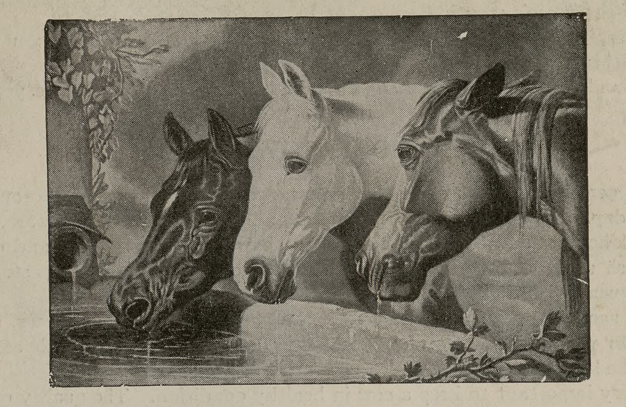 Horses from "Ways of Kindness," which was intended to teach children about ways to be kind to animals in their daily lives. From the John Ptak Collection of Animal Rights and Animal Welfare Printed Education Materials.
