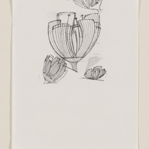 Floralis Genérica -- sketch copy, front