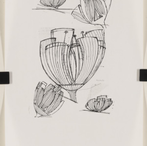 Floralis Genérica -- sketch copy, undated