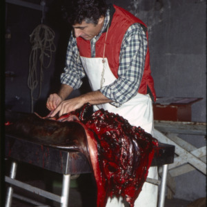 Dr. Joseph Geraci and seal carcass, Iceland, 1980
