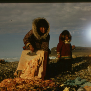 Woman and child with seal meat, Ulukhaktok, Canada, circa 1973
