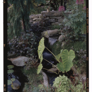 Stone wall waterfall in Montrose garden, May 1995