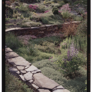 Stone wall and flowers in Montrose garden, May 1995